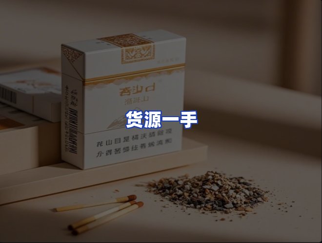 专业团队